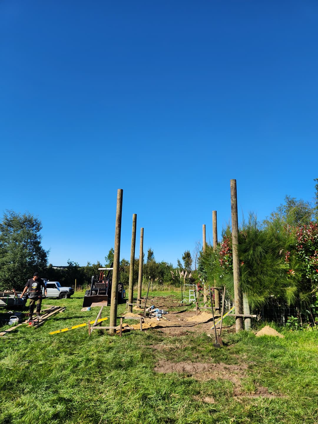 Recent Gallery Image 10