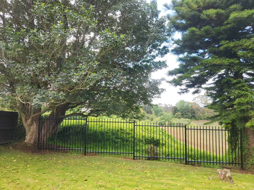 Recent Gallery Image 10
