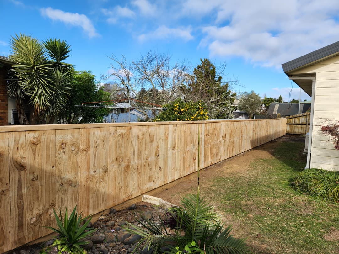 Recent Gallery Image 10